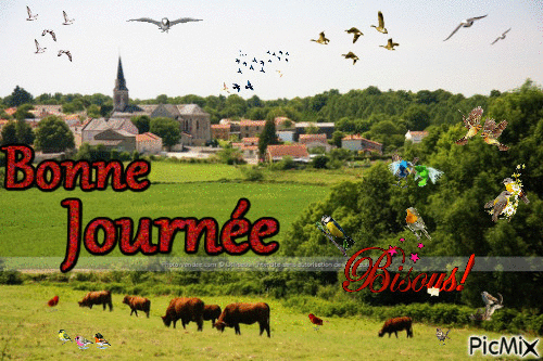 Bonne ourné - Бесплатный анимированный гифка