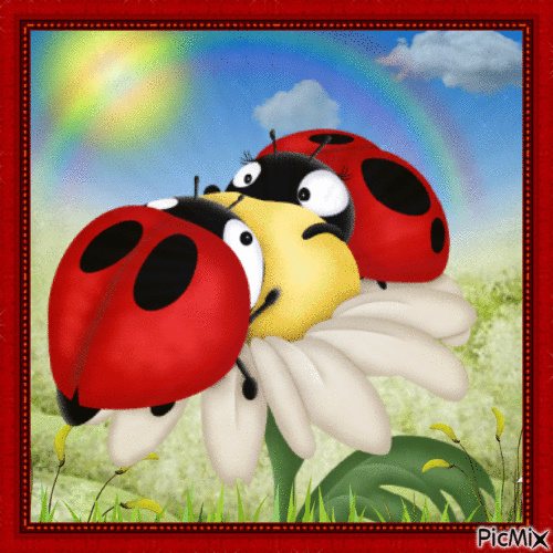 ladybugs - Darmowy animowany GIF