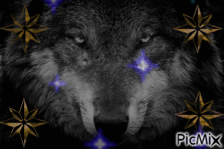 волк - Animovaný GIF zadarmo
