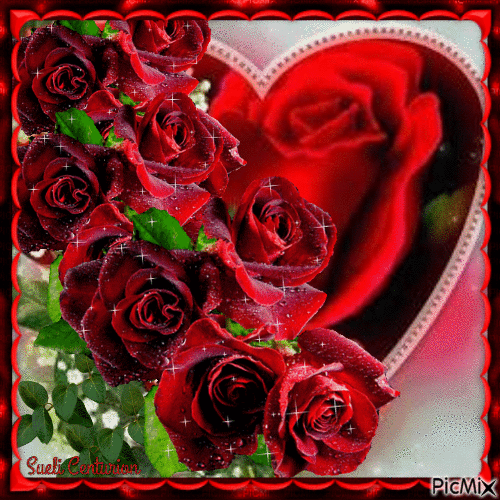 Rosa vermelha em moldura vermelha - Free animated GIF