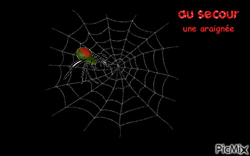 araignée - Безплатен анимиран GIF