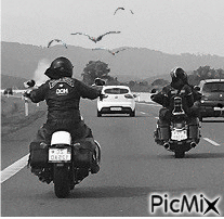 moto - GIF animado grátis