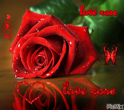 love rose - Ingyenes animált GIF