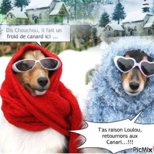 Animal drôle en hiver - ücretsiz png