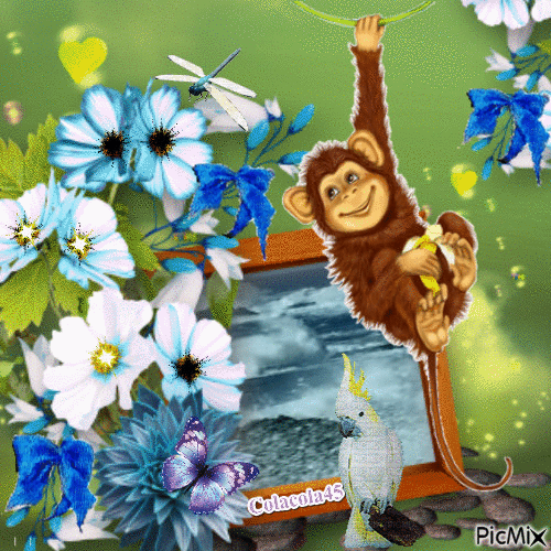 opice - Animovaný GIF zadarmo