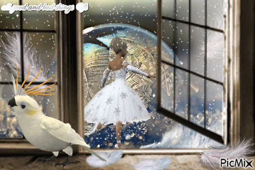 dance feather bird snow - Darmowy animowany GIF