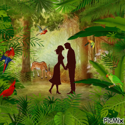 Cita en el bosque - GIF animado grátis