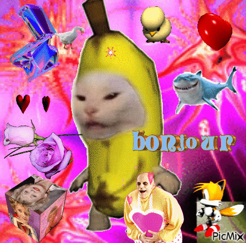 Banana cat - Animovaný GIF zadarmo
