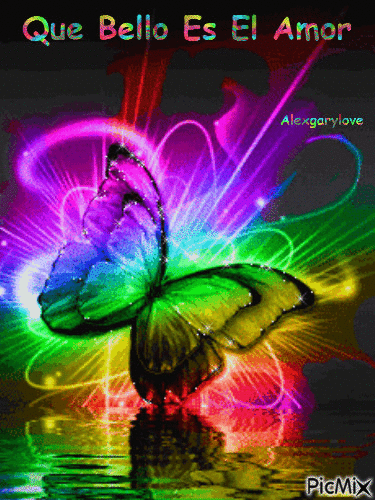 Mariposa bella - Безплатен анимиран GIF