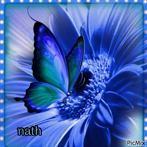 La fleur et le papillon, concours - Besplatni animirani GIF