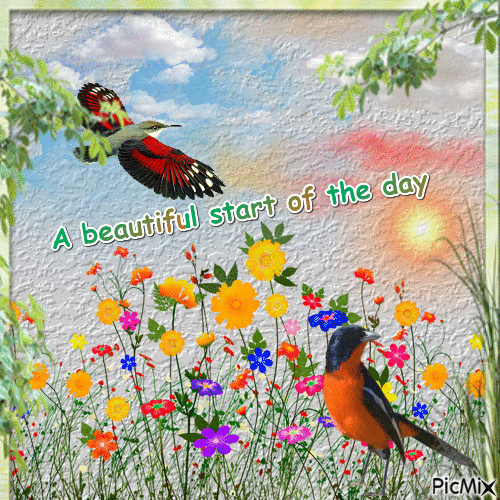 A beautiful start of the day - GIF animate gratis