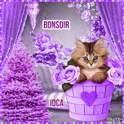Bonsoir les chatons - Безплатен анимиран GIF