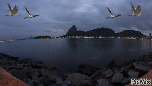 Rio - Zdarma animovaný GIF