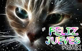 FELIZ JUEVES1 - GIF animé gratuit