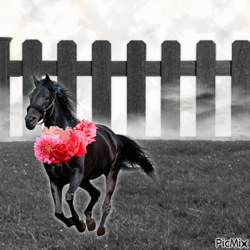 Horse In Purgatory - GIF animado grátis