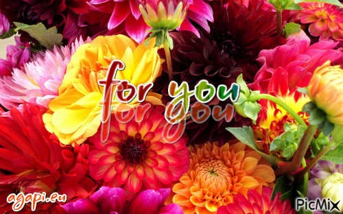 for you - PNG gratuit