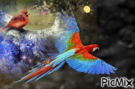 aves volando - Free animated GIF