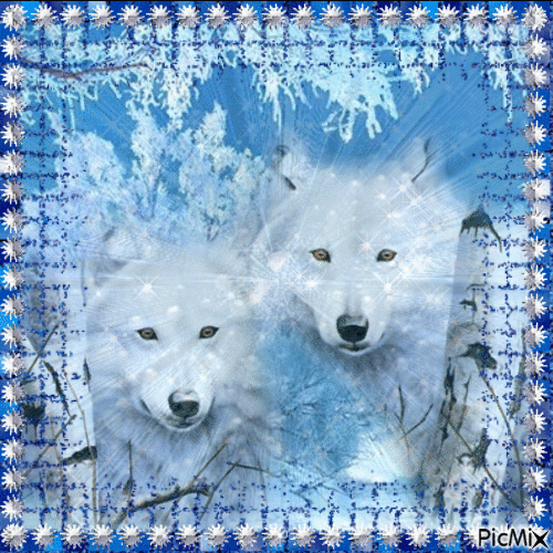 winter wolves - Free animated GIF