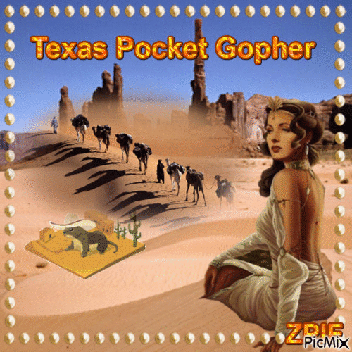 Texas Pocket Gopher - GIF animado gratis