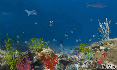 sous la mer - Ilmainen animoitu GIF