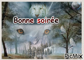 Bonne soiree - GIF animado grátis