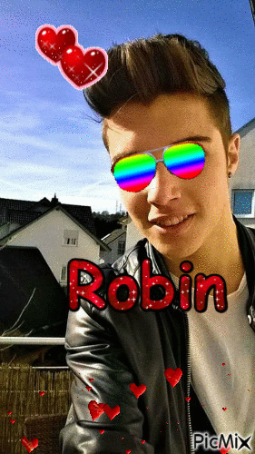 Robin - GIF animé gratuit