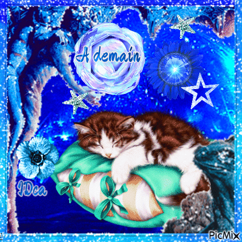 Bonne nuit  les chatons - GIF animate gratis