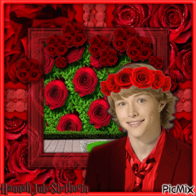 {♥♥♥}Sterling Knight with Red Roses{♥♥♥} - Animovaný GIF zadarmo