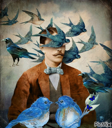 Pájaros azules - Darmowy animowany GIF