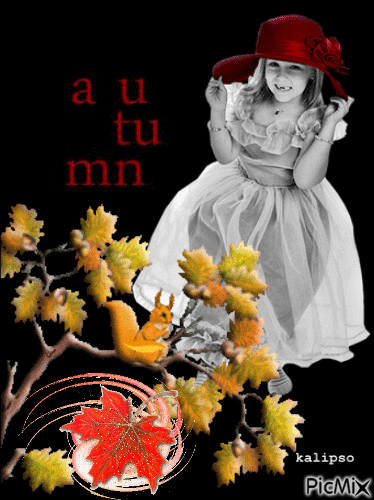 Autumn.. - GIF animé gratuit