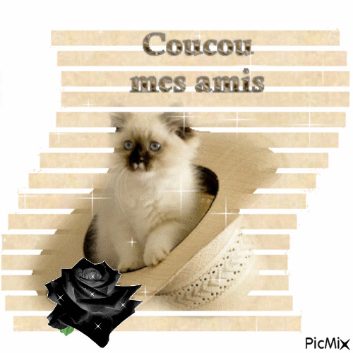 coucou mes amis - Δωρεάν κινούμενο GIF