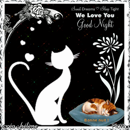 Bonne Nuit / Good Night  / Sweet Dreams - GIF animé gratuit