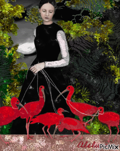 La signora degli ibis - Gratis animeret GIF