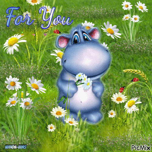 For you-daisies-flowers-hippo - GIF animé gratuit