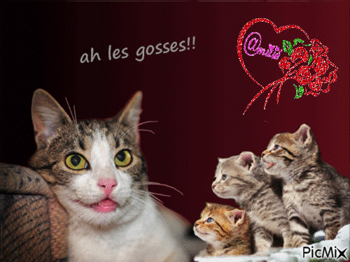 ah les gosses !! - 無料のアニメーション GIF