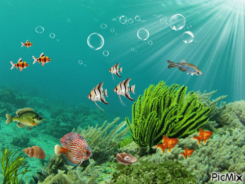 fundo do mar - Darmowy animowany GIF
