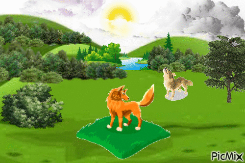Wolves in the wild - Gratis animerad GIF