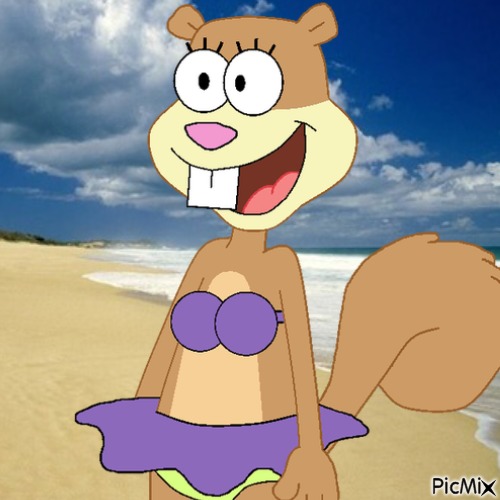 Sandy Cheeks at the beach - png grátis