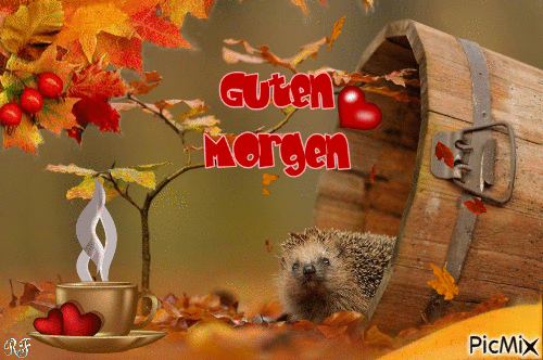 Guten Morgen - 無料のアニメーション GIF