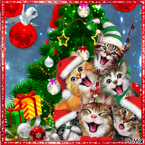 Joyeux chat de Noël - GIF animé gratuit