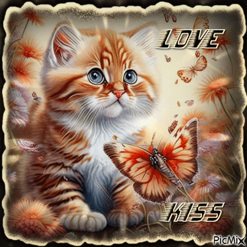 Katze, love, Küsse - Безплатен анимиран GIF