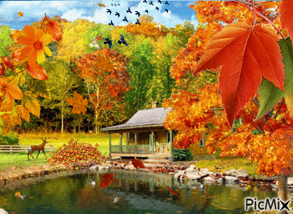 Paisaje de otoño - GIF เคลื่อนไหวฟรี