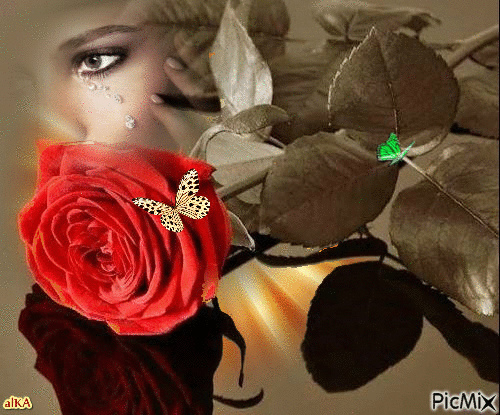 Rožė - Ingyenes animált GIF