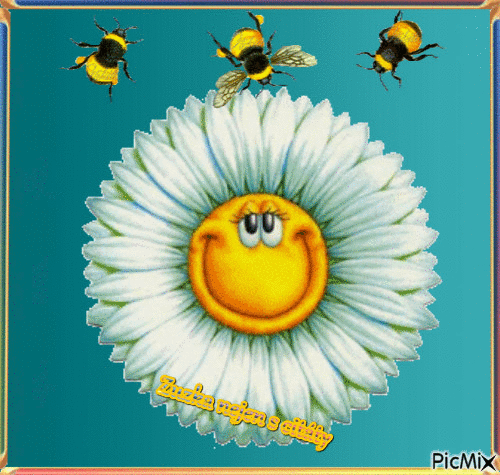 mrkací kopretina-včelky - 無料のアニメーション GIF