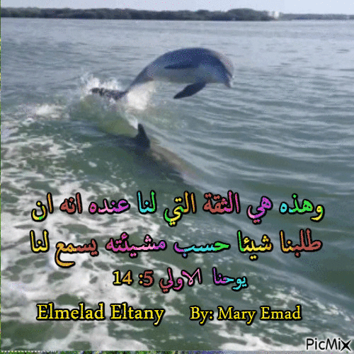 By: Mary Emad - Gratis geanimeerde GIF
