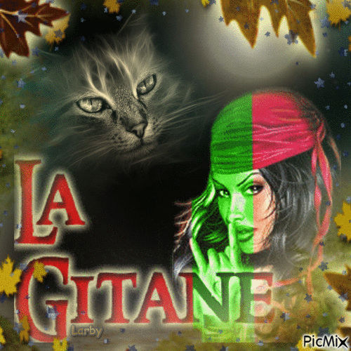 La gitane et son chat !!!! - Free animated GIF
