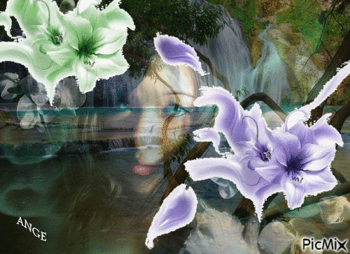 au milieu des fleurs - Безплатен анимиран GIF