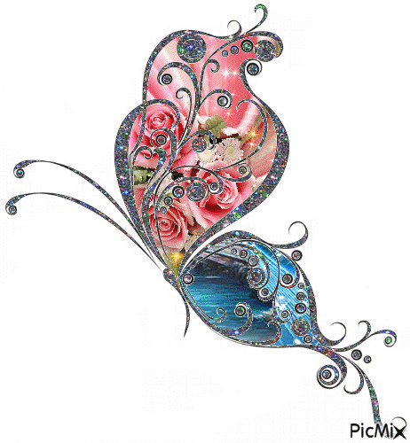 Pink & Blue Butterfly - 免费动画 GIF