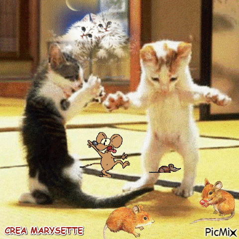CREA MARYSETTE - Gratis geanimeerde GIF