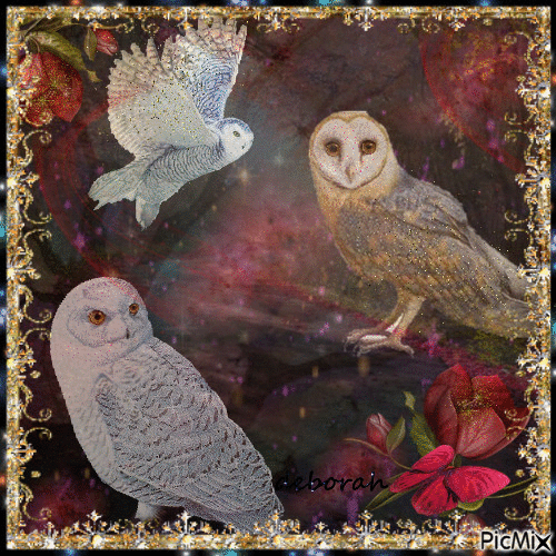 Midnight Owls....Valery. - GIF animado gratis
